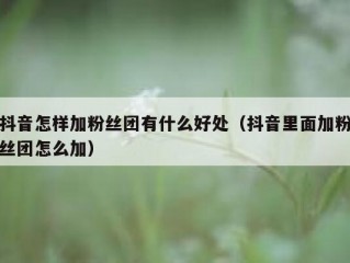 抖音怎样加粉丝团有什么好处（抖音里面加粉丝团怎么加）