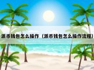 派币钱包怎么操作（派币钱包怎么操作流程）