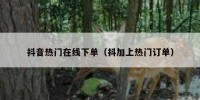 抖音热门在线下单（抖加上热门订单）