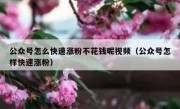 公众号怎么快速涨粉不花钱呢视频（公众号怎样快速涨粉）