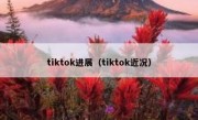 tiktok进展（tiktok近况）
