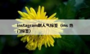 instagram刷人气标签（ins 热门标签）
