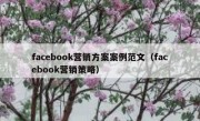 facebook营销方案案例范文（facebook营销策略）