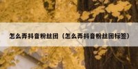 怎么弄抖音粉丝团（怎么弄抖音粉丝团标签）