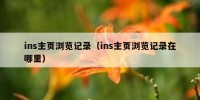 ins主页浏览记录（ins主页浏览记录在哪里）