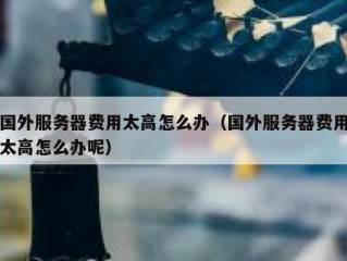国外服务器费用太高怎么办（国外服务器费用太高怎么办呢）