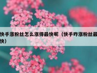 快手涨粉丝怎么涨得最快呢（快手咋涨粉丝最快）