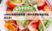 cn域名接国外服务器（国外免费服务器域名怎么弄）