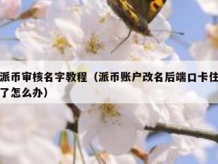 派币审核名字教程（派币账户改名后端口卡住了怎么办）