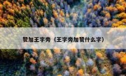 赞加王字旁（王字旁加赞什么字）