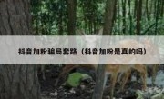 抖音加粉骗局套路（抖音加粉是真的吗）