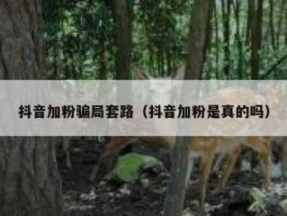 抖音加粉骗局套路（抖音加粉是真的吗）