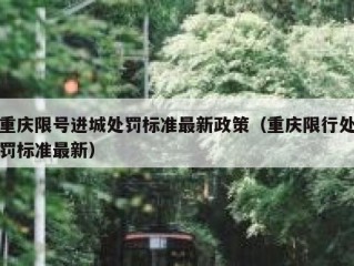 重庆限号进城处罚标准最新政策（重庆限行处罚标准最新）