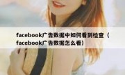 facebook广告数据中如何看到检查（facebook广告数据怎么看）