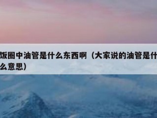 饭圈中油管是什么东西啊（大家说的油管是什么意思）
