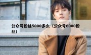 公众号粉丝5000多么（公众号6000粉丝）