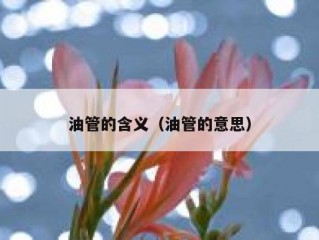 油管的含义（油管的意思）