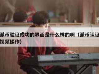 派币验证成功的界面是什么样的啊（派币认证视频操作）