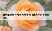 重庆进城限号吗今天限号吗（重庆今天车辆限号吗）