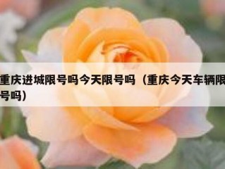 重庆进城限号吗今天限号吗（重庆今天车辆限号吗）