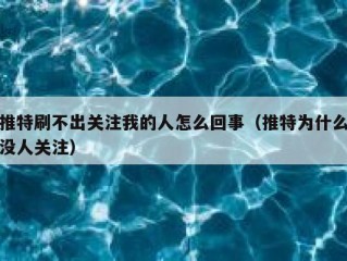 推特刷不出关注我的人怎么回事（推特为什么没人关注）