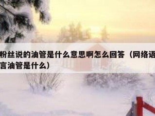 粉丝说的油管是什么意思啊怎么回答（网络语言油管是什么）