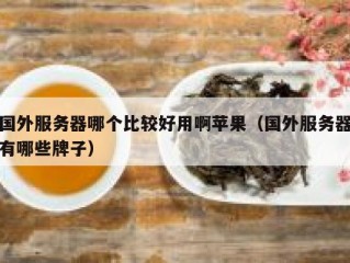 国外服务器哪个比较好用啊苹果（国外服务器有哪些牌子）