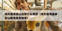 海外服务器ip选择什么类型（海外服务器静态ip服务商有哪些）