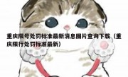 重庆限号处罚标准最新消息图片查询下载（重庆限行处罚标准最新）