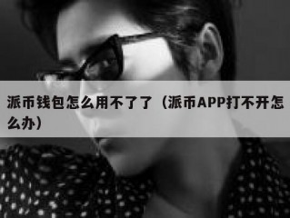 派币钱包怎么用不了了（派币APP打不开怎么办）