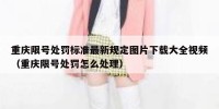重庆限号处罚标准最新规定图片下载大全视频（重庆限号处罚怎么处理）