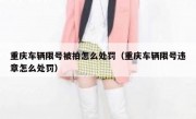 重庆车辆限号被拍怎么处罚（重庆车辆限号违章怎么处罚）