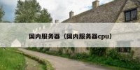 国内服务器（国内服务器cpu）