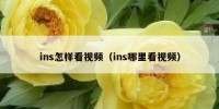 ins怎样看视频（ins哪里看视频）
