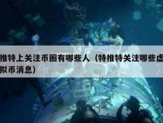 推特上关注币圈有哪些人（特推特关注哪些虚拟币消息）