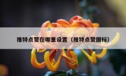 推特点赞在哪里设置（推特点赞图标）