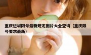重庆进城限号最新规定图片大全查询（重庆限号要求最新）