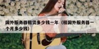 国外服务器租赁多少钱一年（租国外服务器一个月多少钱）