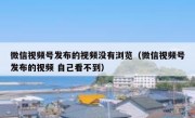 微信视频号发布的视频没有浏览（微信视频号发布的视频 自己看不到）