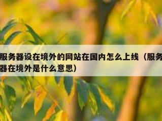 服务器设在境外的网站在国内怎么上线（服务器在境外是什么意思）