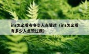 ins怎么看有多少人点赞过（ins怎么看有多少人点赞过我）
