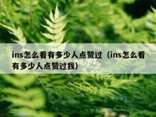 ins怎么看有多少人点赞过（ins怎么看有多少人点赞过我）