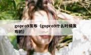 gopro9发布（gopro9什么时候发布的）