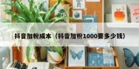抖音加粉成本（抖音加粉1000要多少钱）