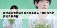 国外永久免费域名服务器是什么（国外永久免费的云服务器）