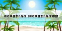 派币钱包怎么操作（派币钱包怎么操作流程）