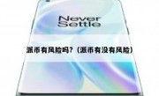 派币有风险吗?（派币有没有风险）