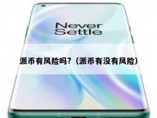 派币有风险吗?（派币有没有风险）