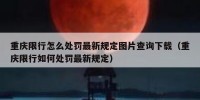 重庆限行怎么处罚最新规定图片查询下载（重庆限行如何处罚最新规定）