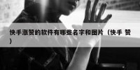 快手涨赞的软件有哪些名字和图片（快手 赞）